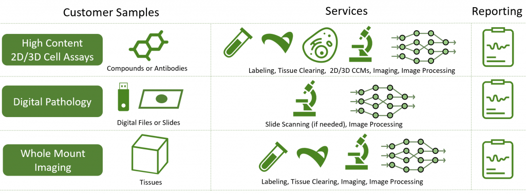 How Visikol works with Clients