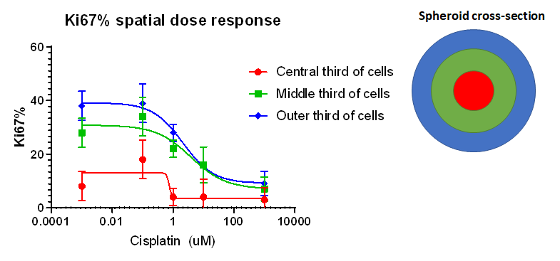 Spheroid Spatial Dose Response Graph