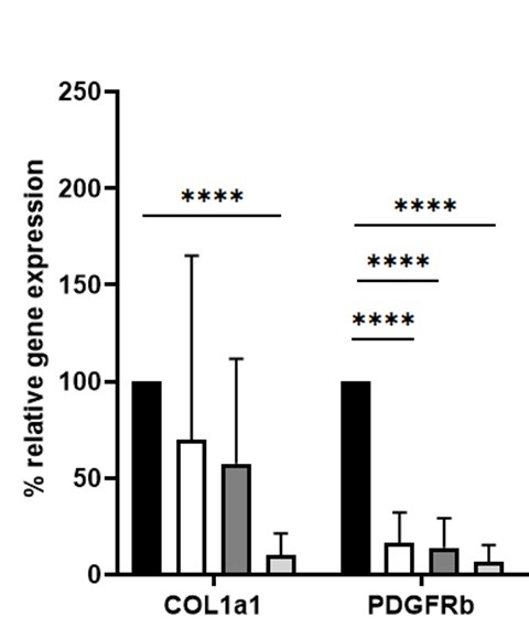 PCLS Relative Gene Expression Graph