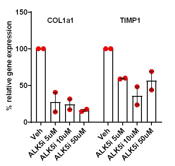 PCLS Relative Gene Expression Graph