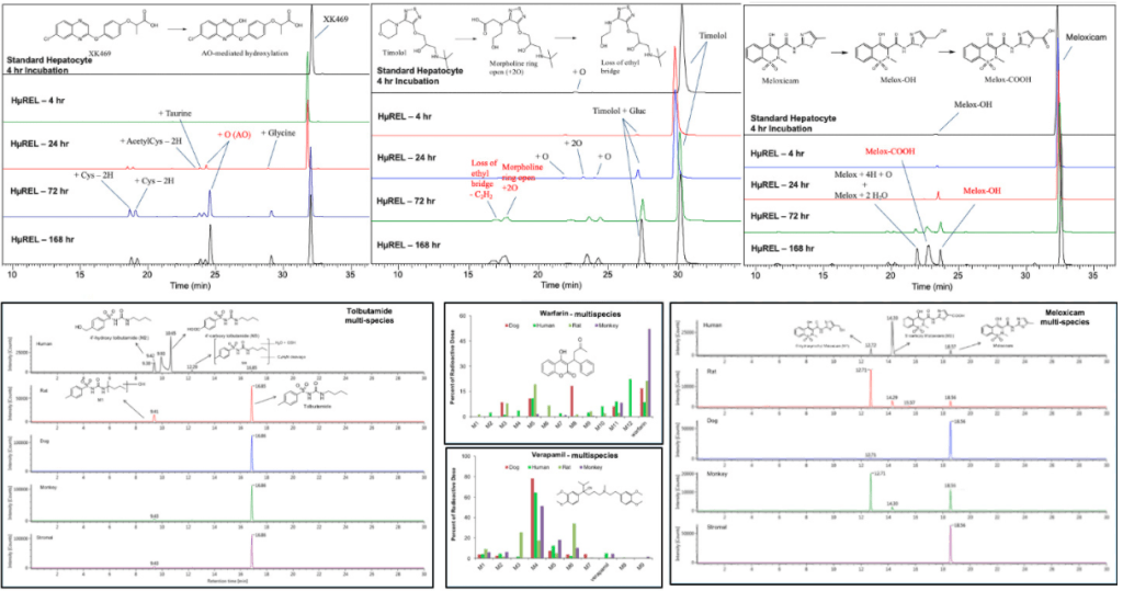 Metabolite-ID-Image-2