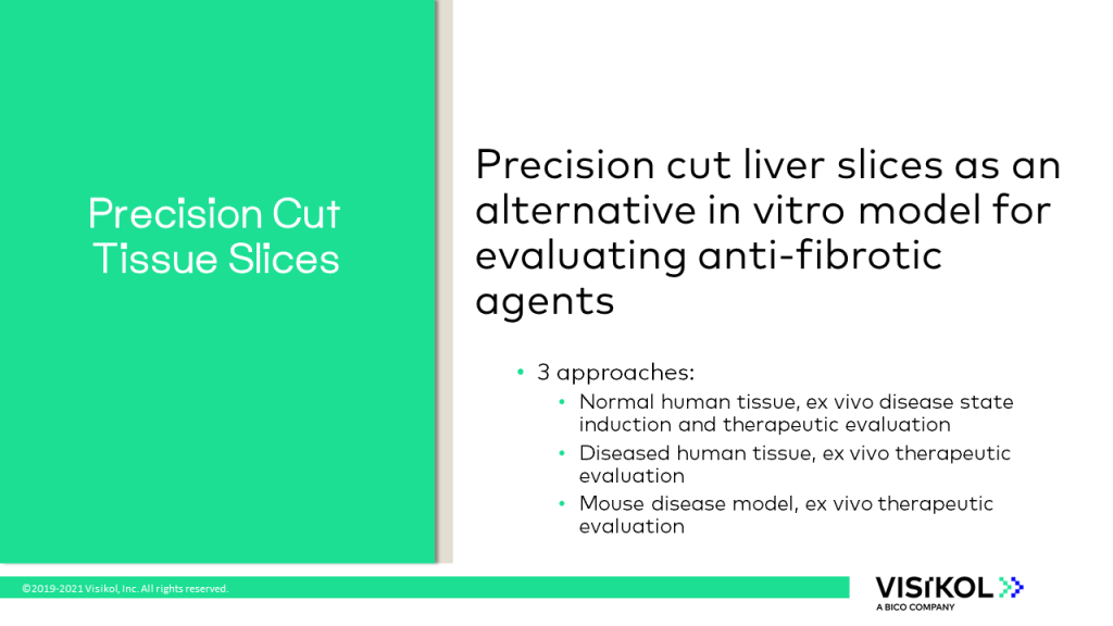 Precision Cut Tissue Slices Slide 9