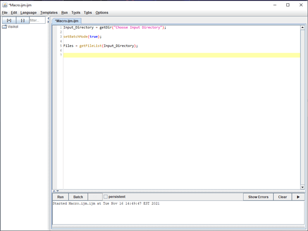 Figure 2. The ImageJ macro window showing code to obtain images.