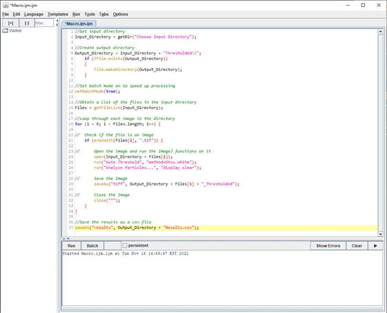 Figure 5. Fully written ImageJ macro ready to be run.