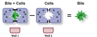 2-well bile measurement