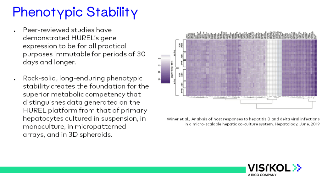 HUREL Slide 11