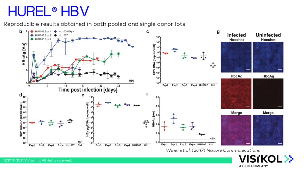 HUREL slide 18