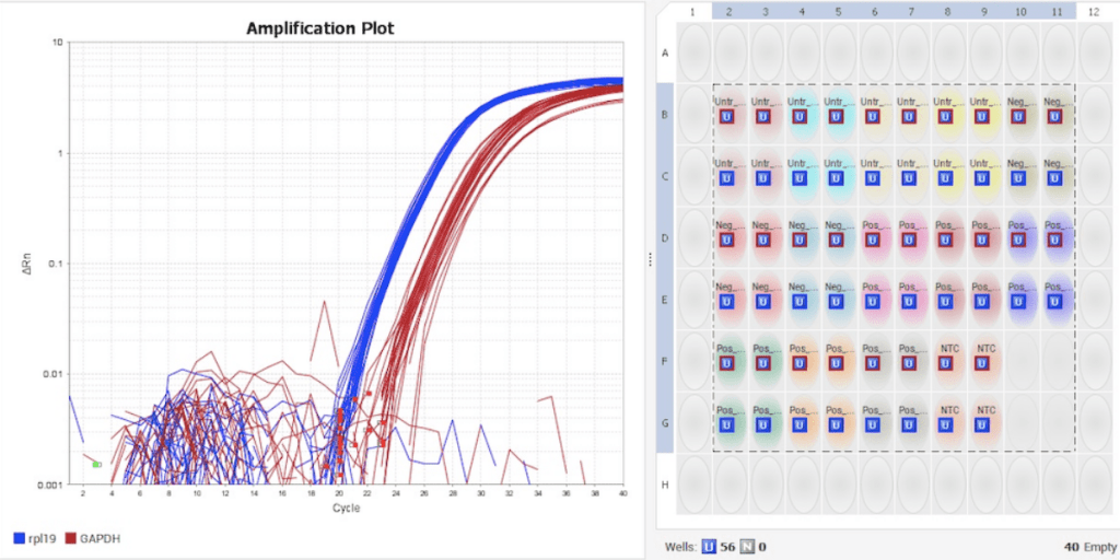 qPCR