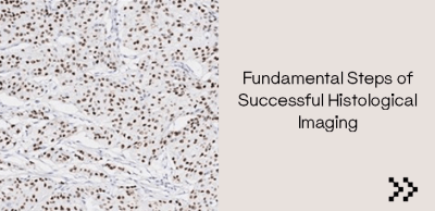 Fundamental Steps of Successful Histological Imaging