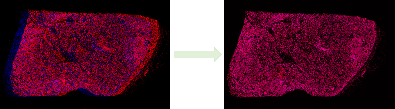 Multiplex Overlaid Tissue