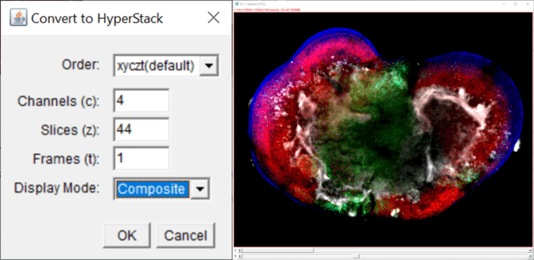 Figure 1. User input for creating a hyperstack and a resulting slice of the composite image. 