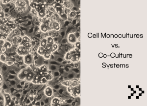 Cell Monocultures vs. Co-Culture Systems
