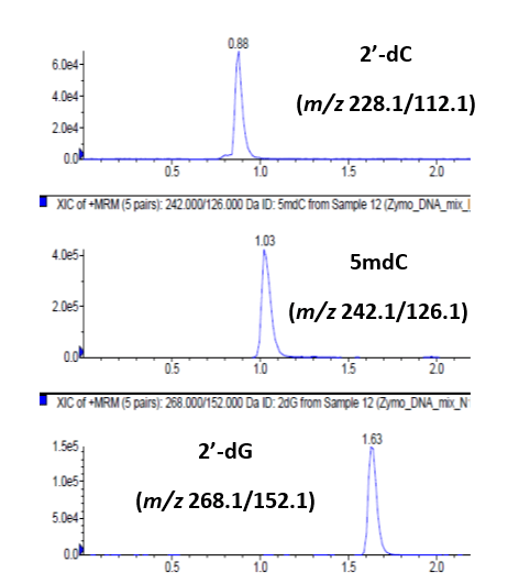 LC-MSMS chromatogram