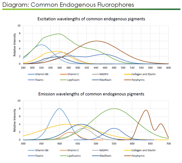 endogenous fluorophores