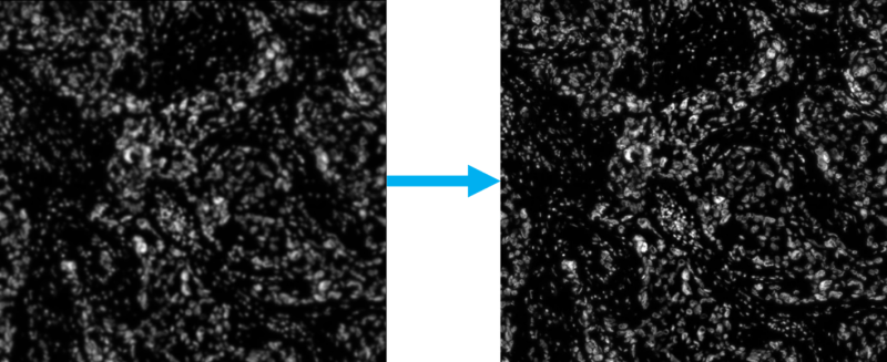 An example of deconvolution being applied to an image.