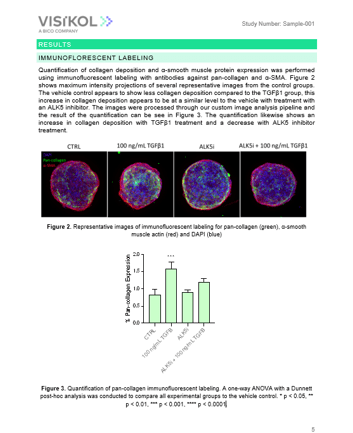 Image of Sample Report