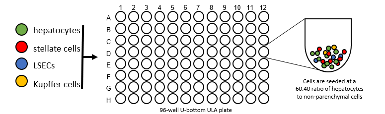 plate 1-2