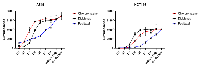 Cell Line Toxicity Assessment