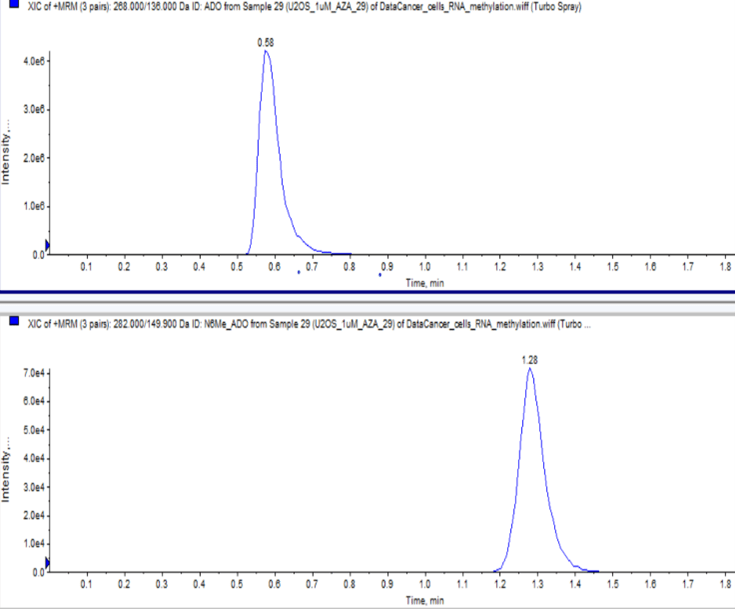 LC-MS/MS chromatogram of 1 µg of A549’s RNA enzymatically hydrolyzed
