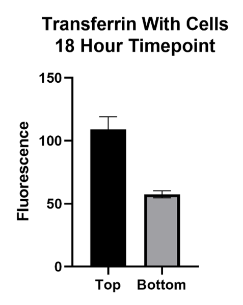 Transferrin With Cells