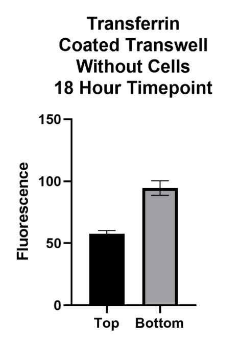 Transferin Coated Transwell