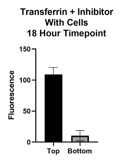 Transferrin Inhibitor