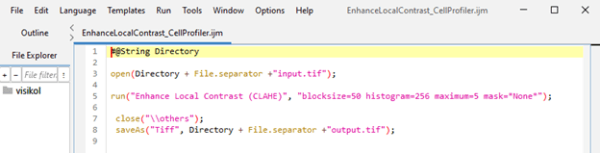 The completed ImageJ macro