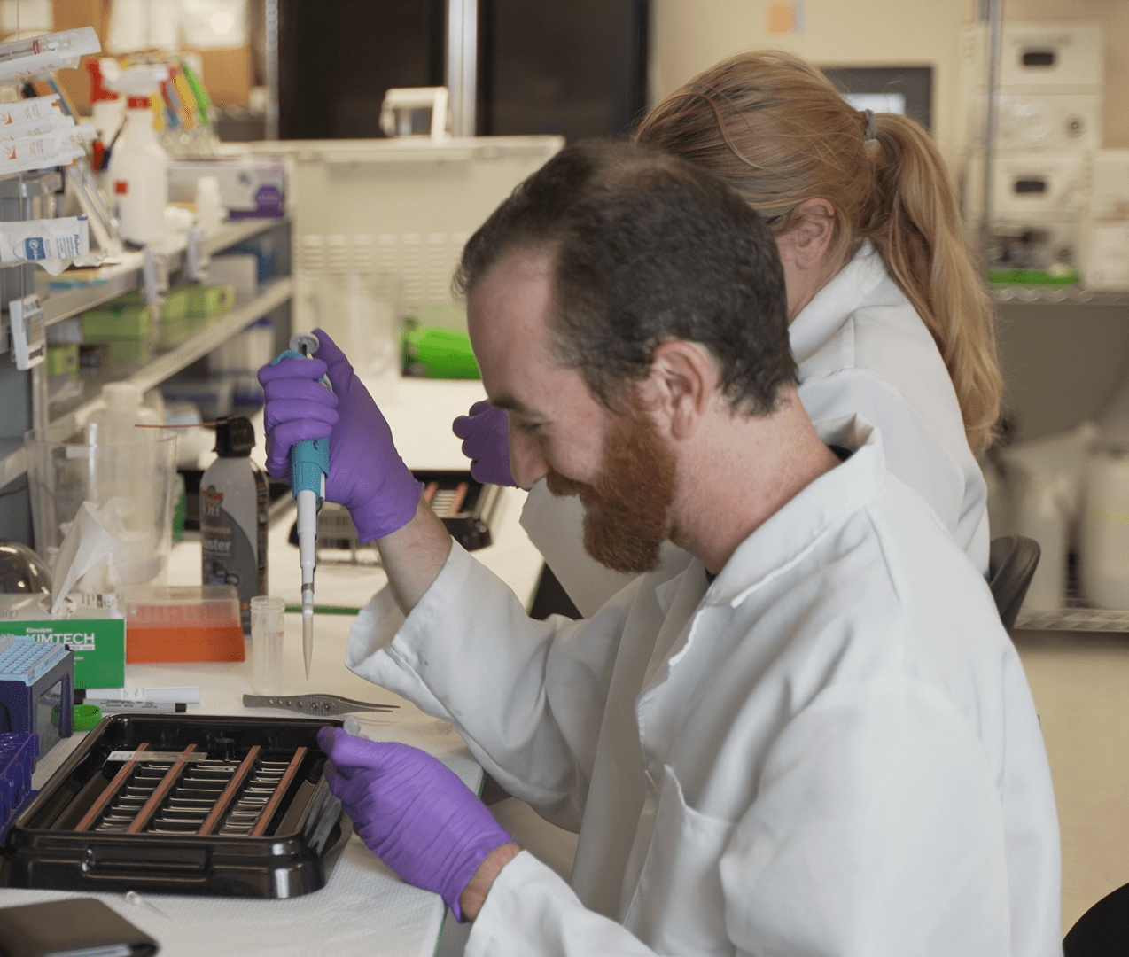 A male and female scientist at work bench using pipettes